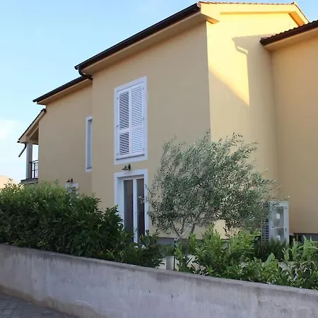 Comfortable Lavanda In * Kornic