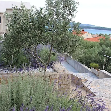 Comfortable Lavanda In Apartment
