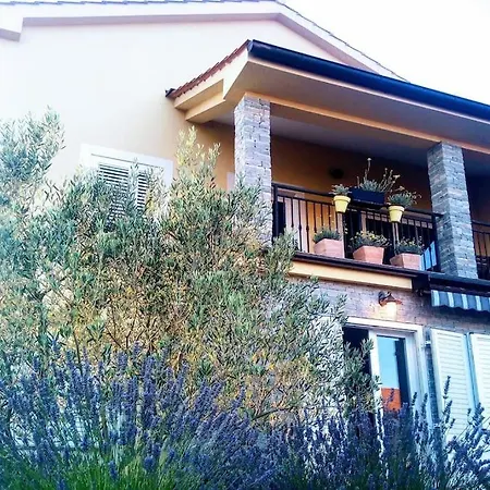 Comfortable Lavanda In Kornic