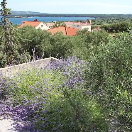 Comfortable Lavanda In Apartman *